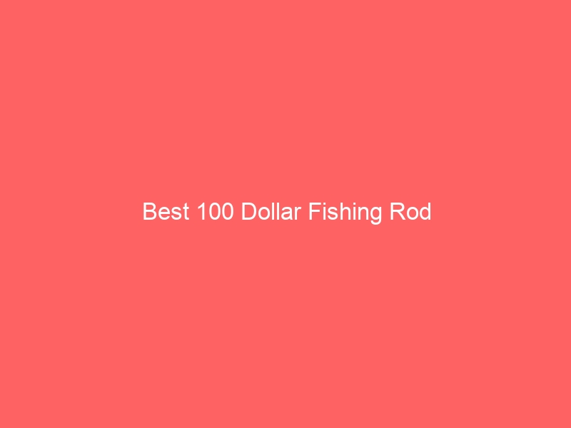 Read more about the article Best 100 Dollar Fishing Rod