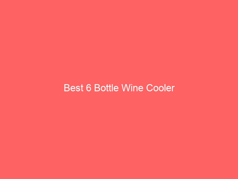 Read more about the article Best 6 Bottle Wine Cooler