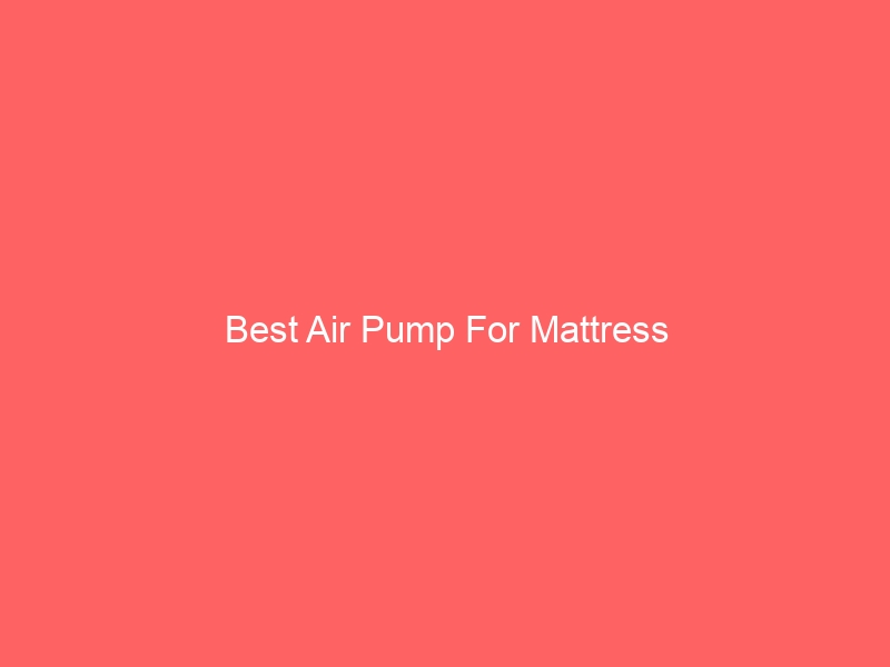 Read more about the article Best Air Pump For Mattress