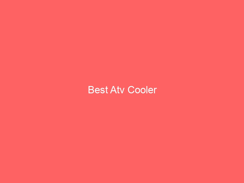 Read more about the article Best Atv Cooler