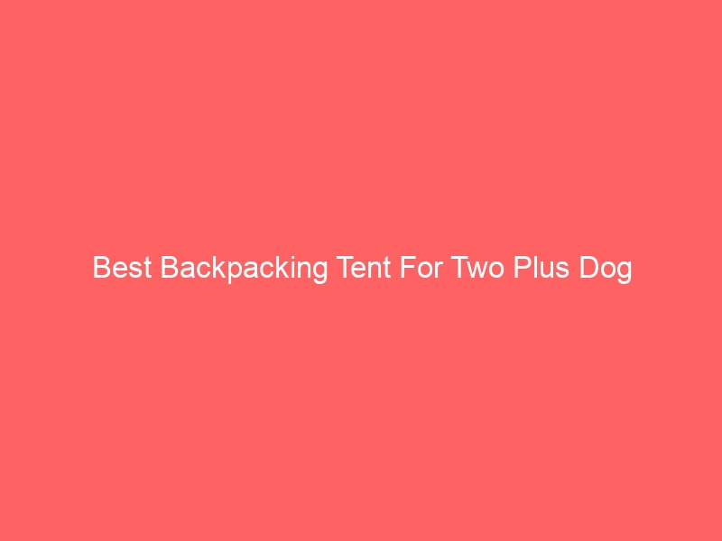 Read more about the article Best Backpacking Tent For Two Plus Dog