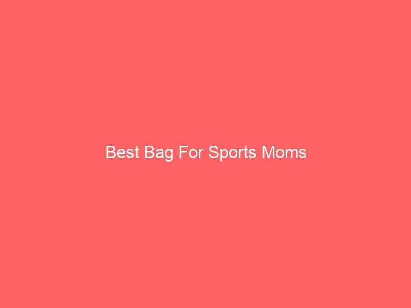 Read more about the article Best Bag For Sports Moms