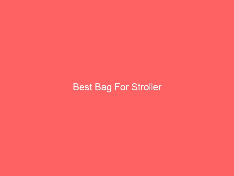 Read more about the article Best Bag For Stroller
