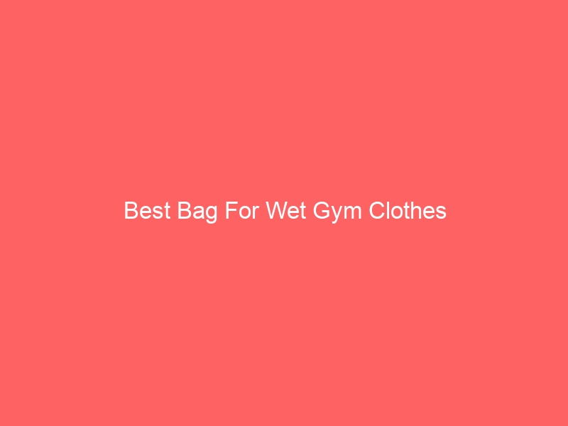Read more about the article Best Bag For Wet Gym Clothes