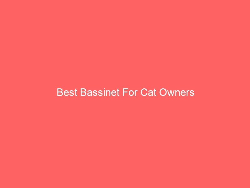 Read more about the article Best Bassinet For Cat Owners