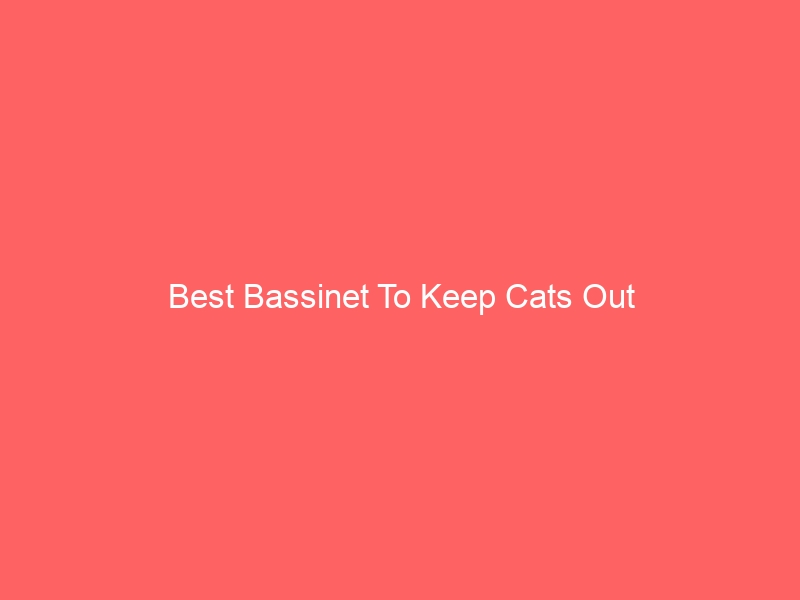 Read more about the article Best Bassinet To Keep Cats Out