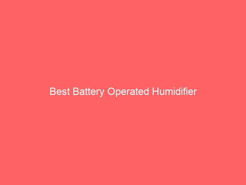 Read more about the article Best Battery Operated Humidifier