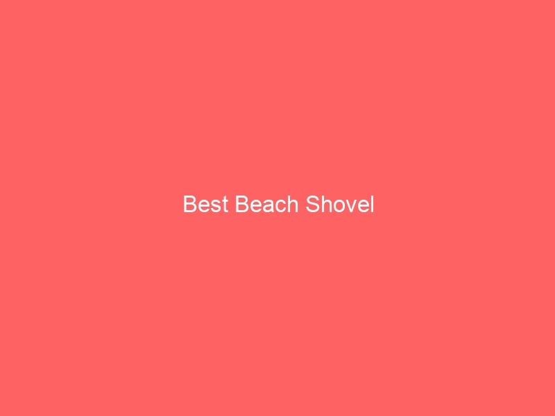 Read more about the article Best Beach Shovel