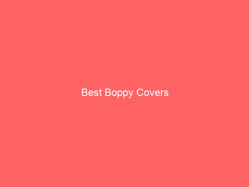 Read more about the article Best Boppy Covers