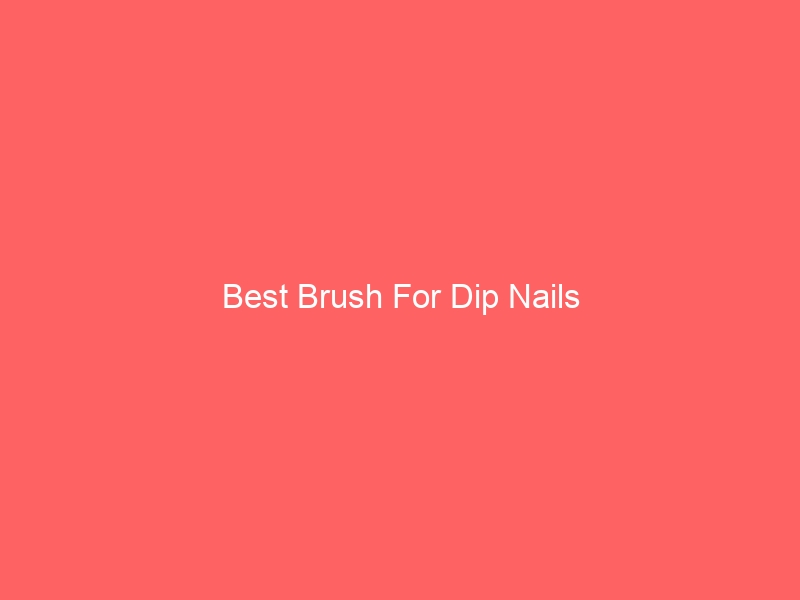Read more about the article Best Brush For Dip Nails