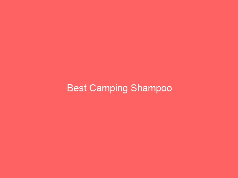 Read more about the article Best Camping Shampoo