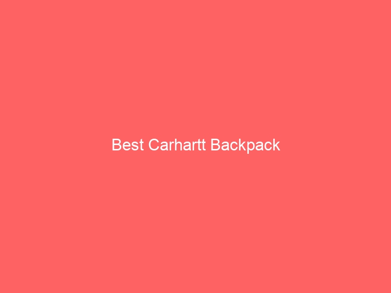 Read more about the article Best Carhartt Backpack