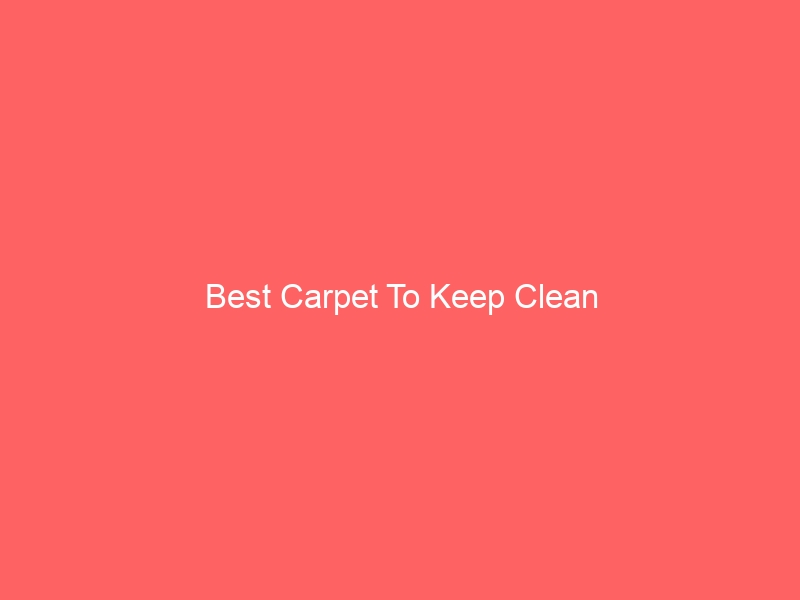 Read more about the article Best Carpet To Keep Clean
