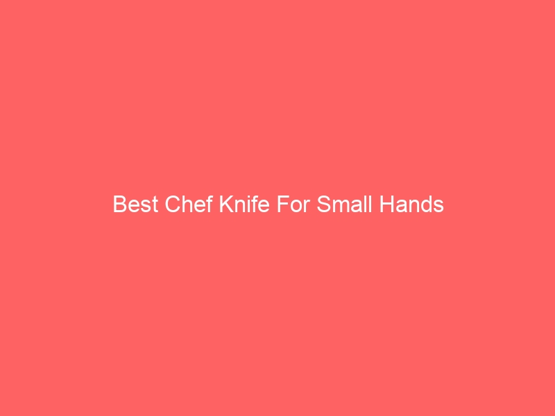 Read more about the article Best Chef Knife For Small Hands