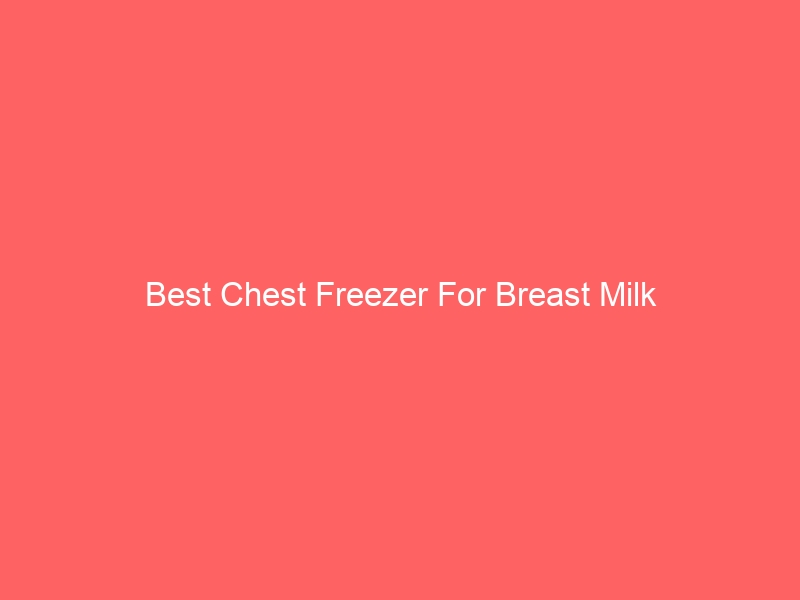 Read more about the article Best Chest Freezer For Breast Milk