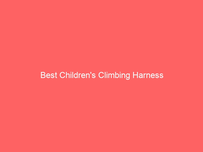 Read more about the article Best Children’s Climbing Harness