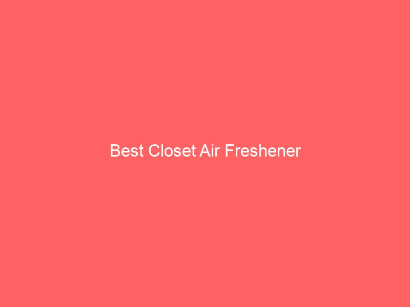 Read more about the article Best Closet Air Freshener