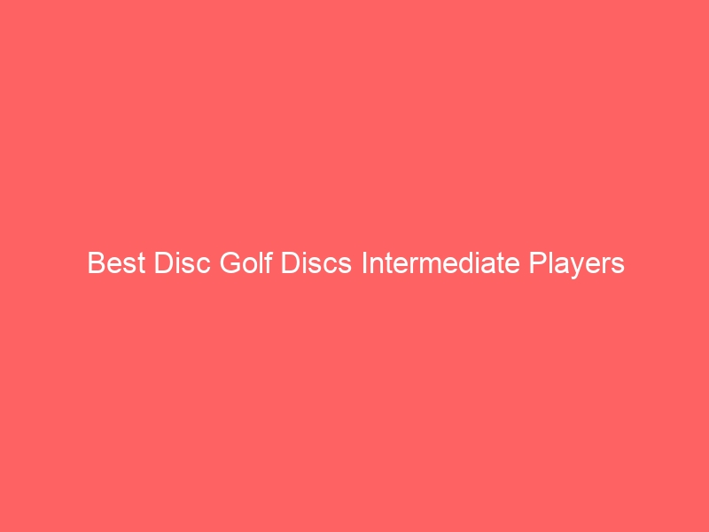 Read more about the article Best Disc Golf Discs Intermediate Players