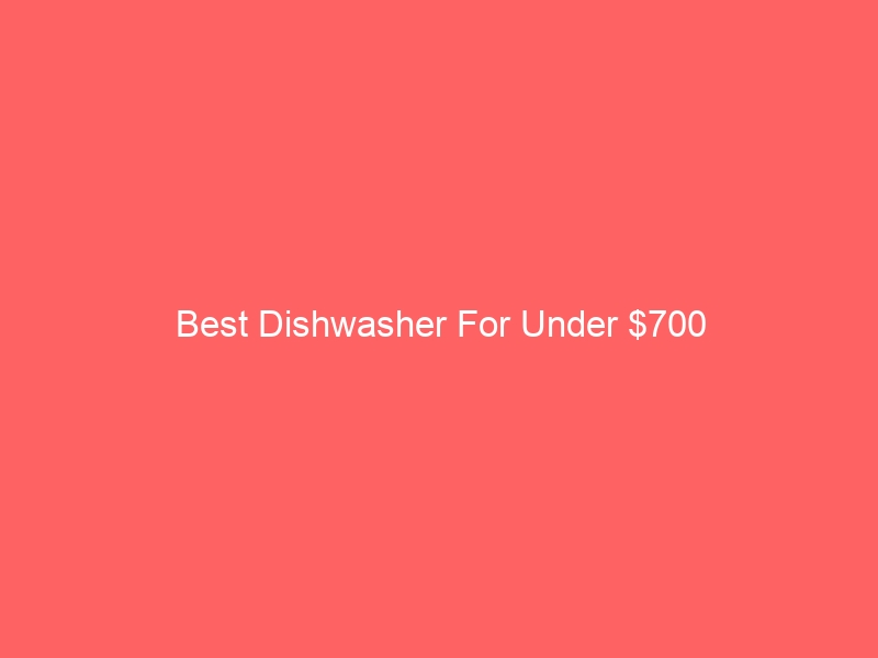 Read more about the article Best Dishwasher For Under $700