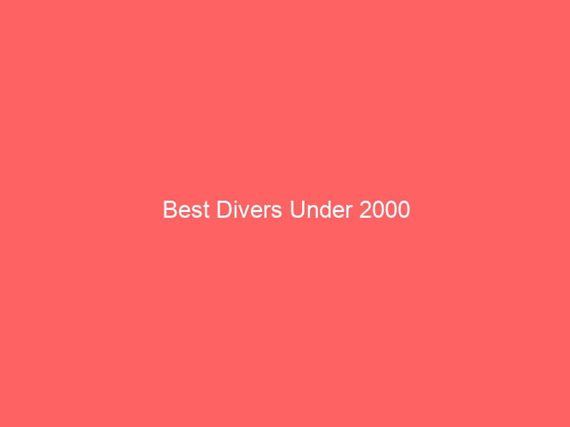 Read more about the article Best Divers Under 2000