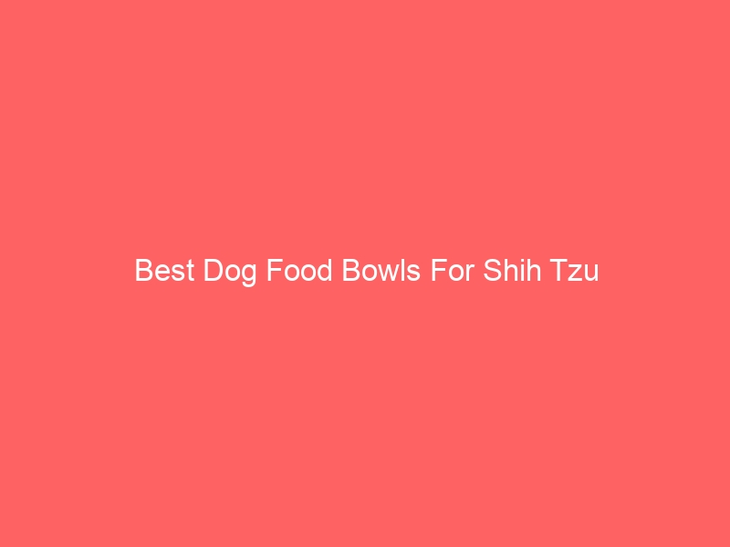 Read more about the article Best Dog Food Bowls For Shih Tzu