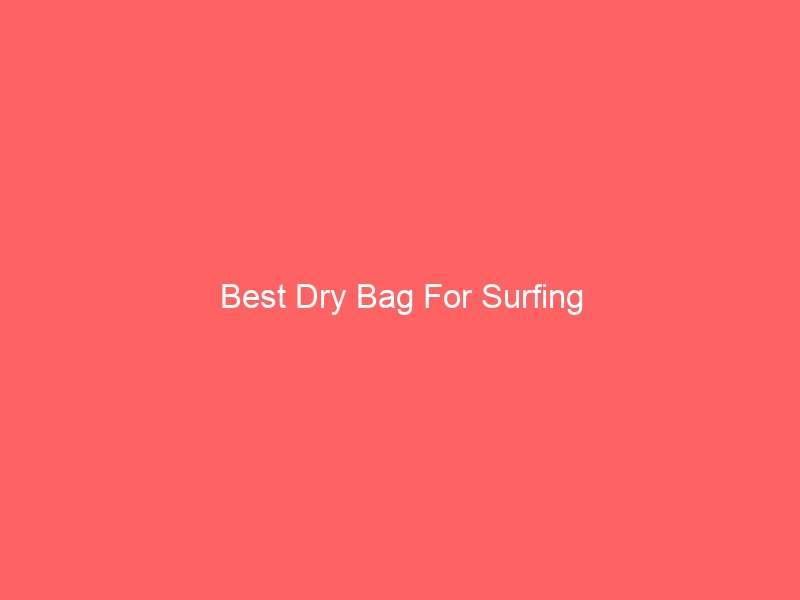 Read more about the article Best Dry Bag For Surfing