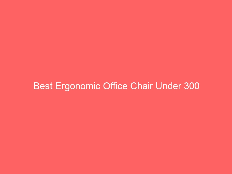 Read more about the article Best Ergonomic Office Chair Under 300