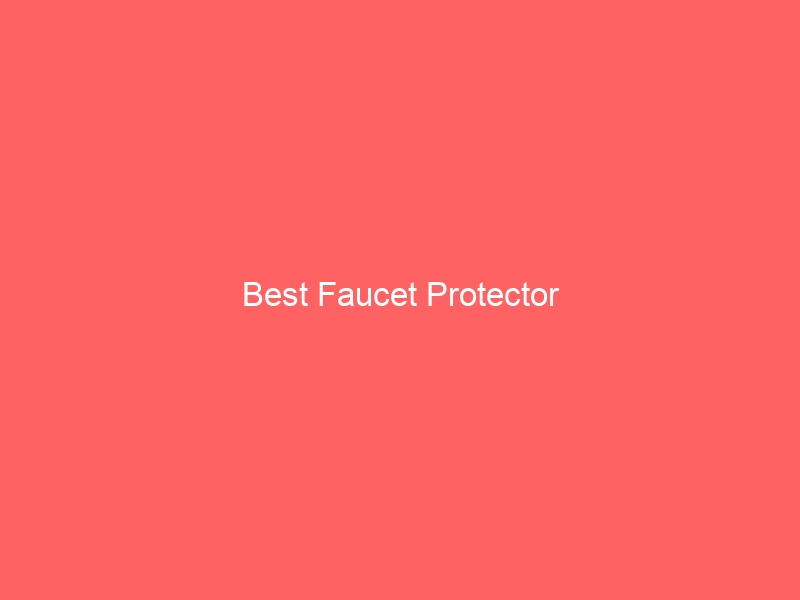 Read more about the article Best Faucet Protector