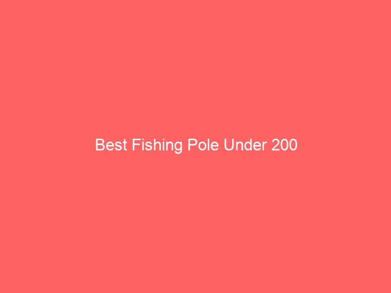 Read more about the article Best Fishing Pole Under 200