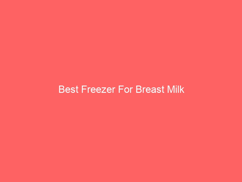 Read more about the article Best Freezer For Breast Milk