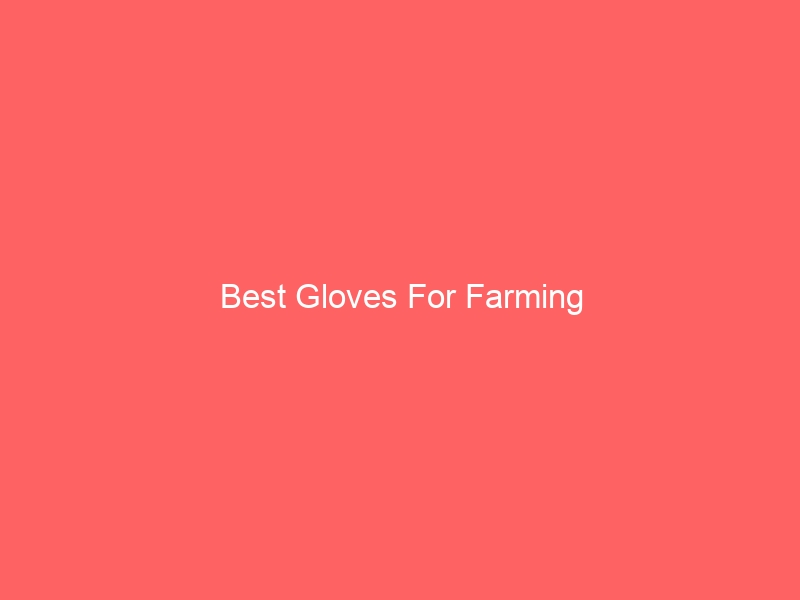 Read more about the article Best Gloves For Farming