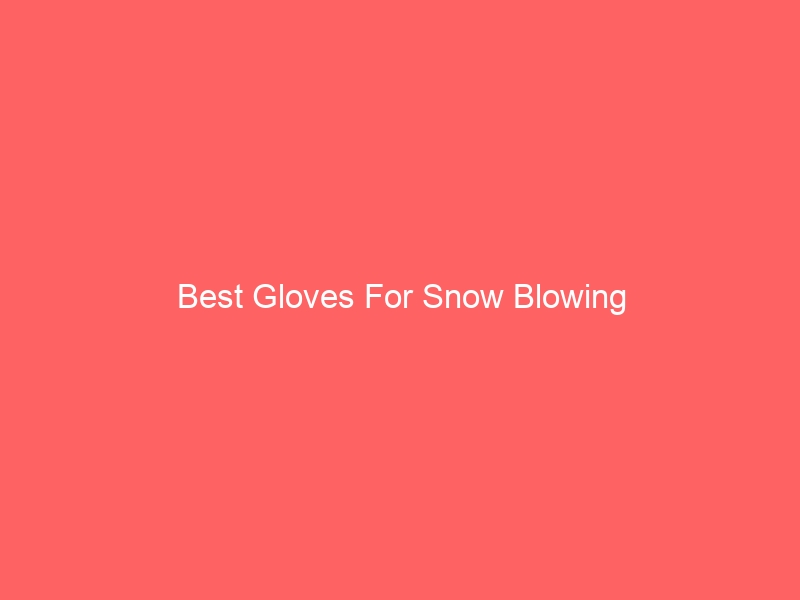 Read more about the article Best Gloves For Snow Blowing