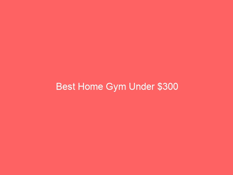 Read more about the article Best Home Gym Under $300