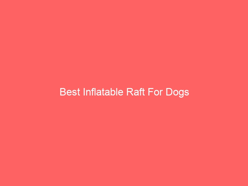 Read more about the article Best Inflatable Raft For Dogs
