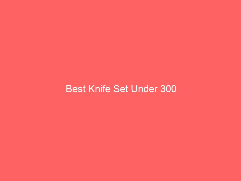 Read more about the article Best Knife Set Under 300