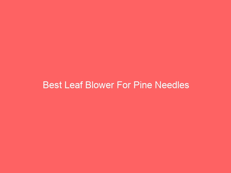 Read more about the article Best Leaf Blower For Pine Needles