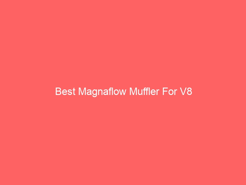 Read more about the article Best Magnaflow Muffler For V8