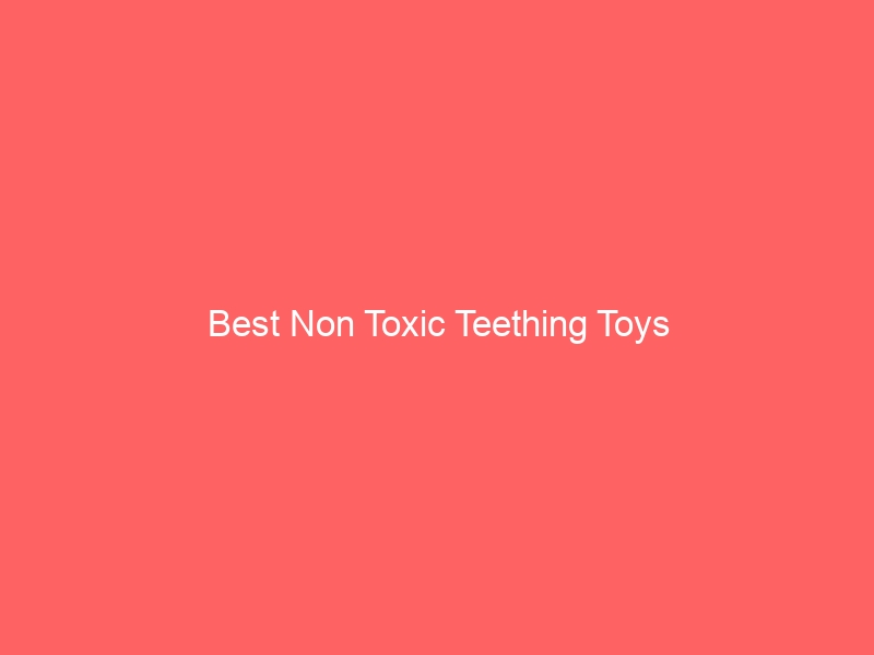 Read more about the article Best Non Toxic Teething Toys