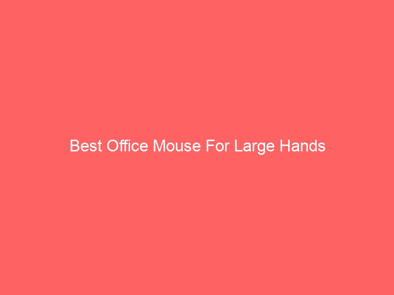 Read more about the article Best Office Mouse For Large Hands