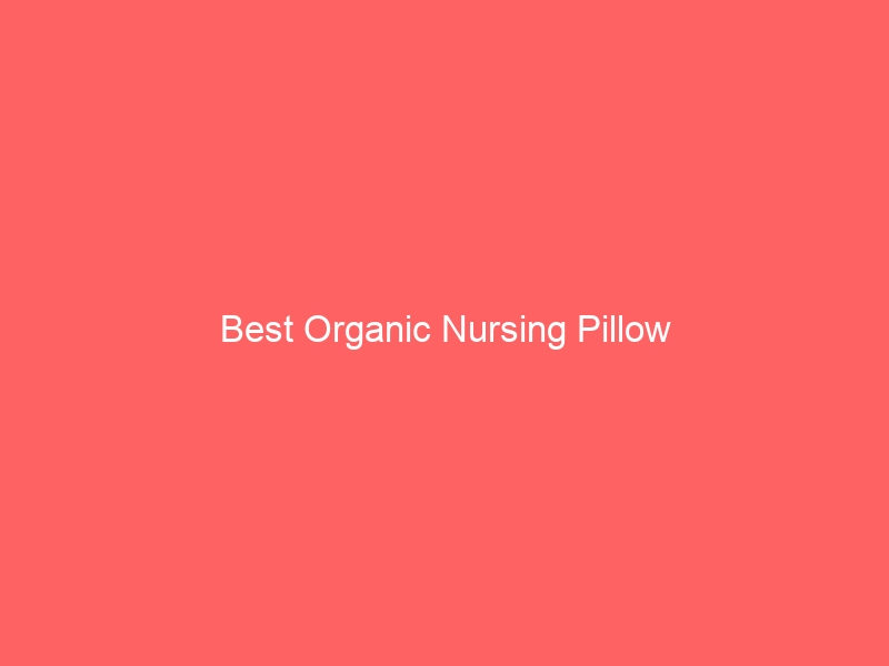 Read more about the article Best Organic Nursing Pillow