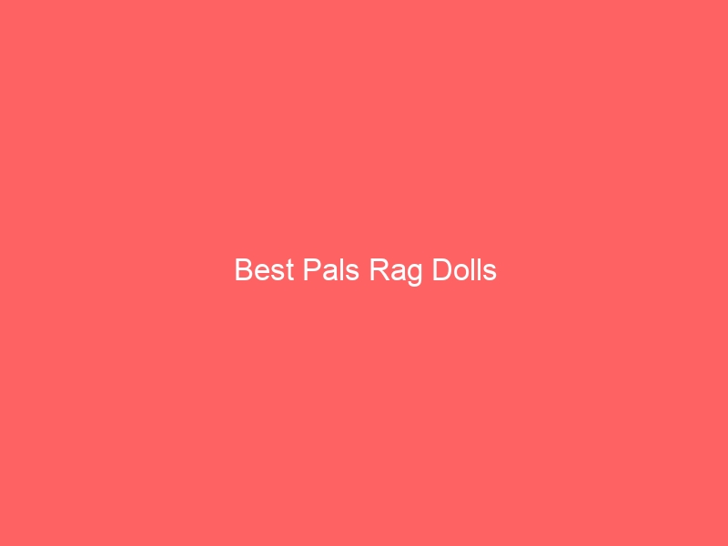 Read more about the article Best Pals Rag Dolls