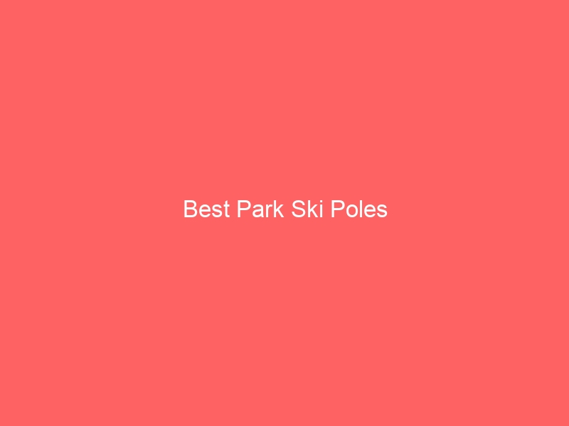 Read more about the article Best Park Ski Poles