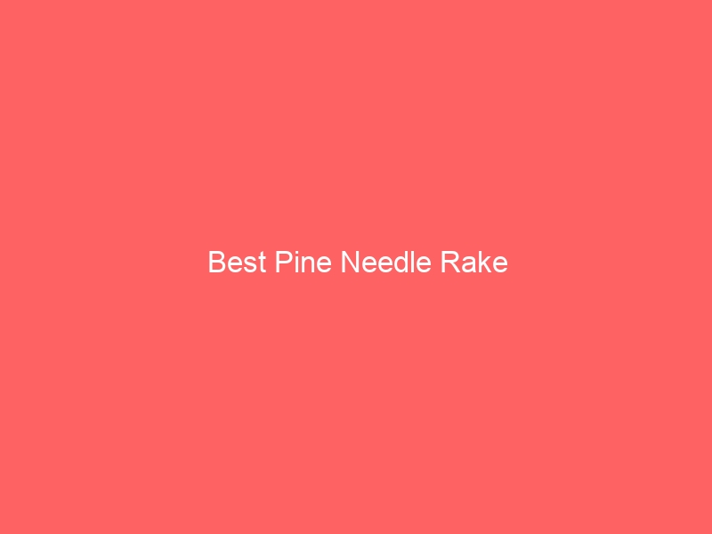 Read more about the article Best Pine Needle Rake