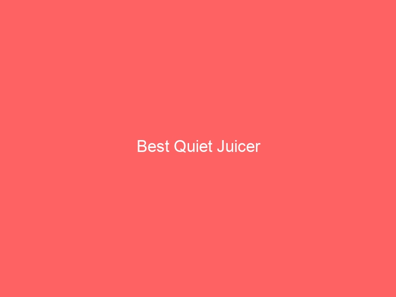 Read more about the article Best Quiet Juicer