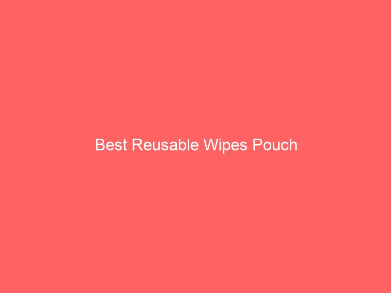 Read more about the article Best Reusable Wipes Pouch