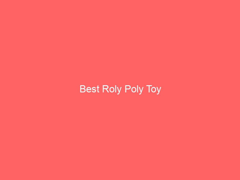Read more about the article Best Roly Poly Toy