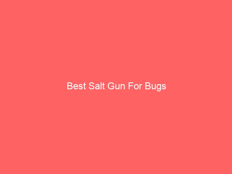 Read more about the article Best Salt Gun For Bugs