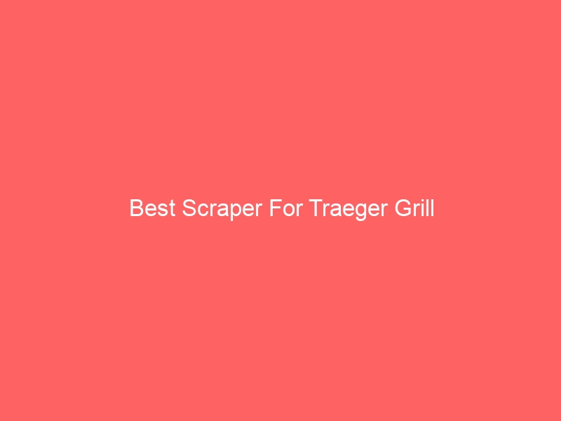 Read more about the article Best Scraper For Traeger Grill