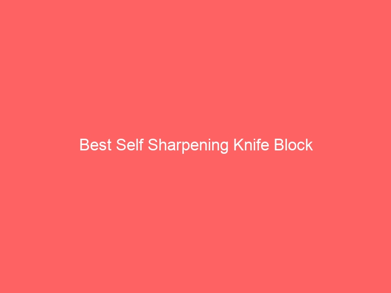 Read more about the article Best Self Sharpening Knife Block
