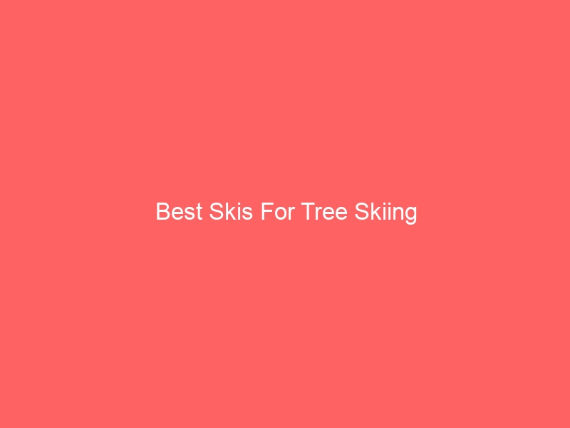 Read more about the article Best Skis For Tree Skiing